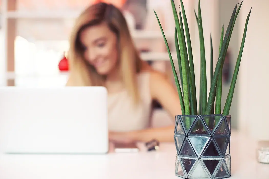 V pisarni nimate zelenih rastlin? Preverite, zakaj jih morate dodati!